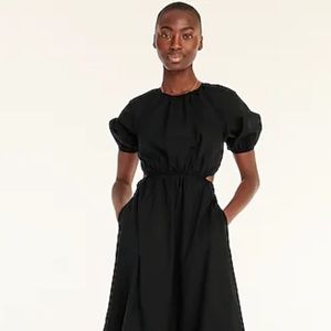 J.Crew Dress